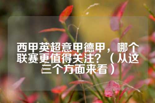 提供了清晰 提供了清晰