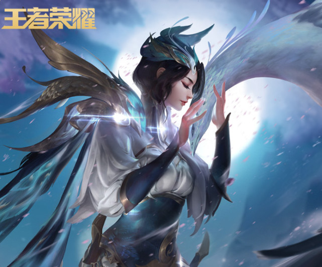 组织 组织